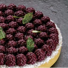 Форма для мороженого/суфле 3D 'TOP RAVEN' d180мм h22мм, 380мл TOP24S