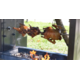 Шампур (спица) для жарки дичи/курицы для мангала УММ Grill Master